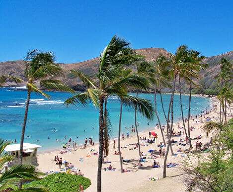 A sunny beach in Hawaii with palm trees and beachgoers
